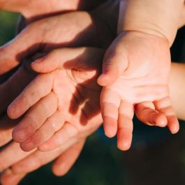 Bild Familienhandbuch